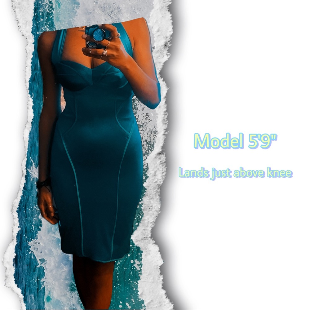 Designer Silk Zac Posen Dress !!